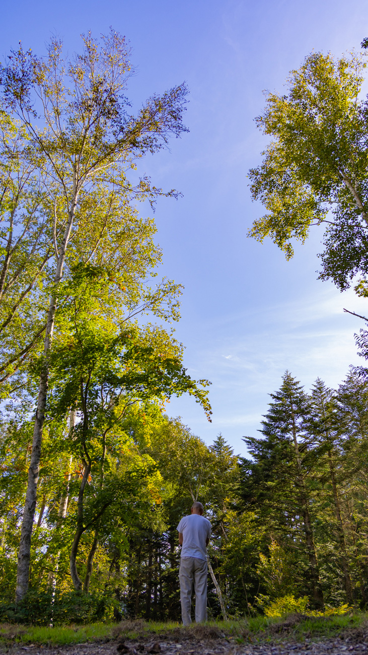 Forest Stage Karuizawa 森のイメージ