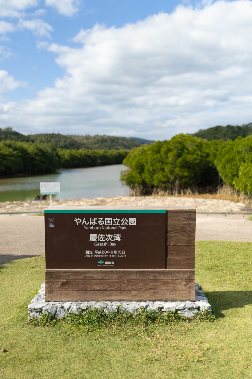 近所の東村ふれあいヒルギ公園