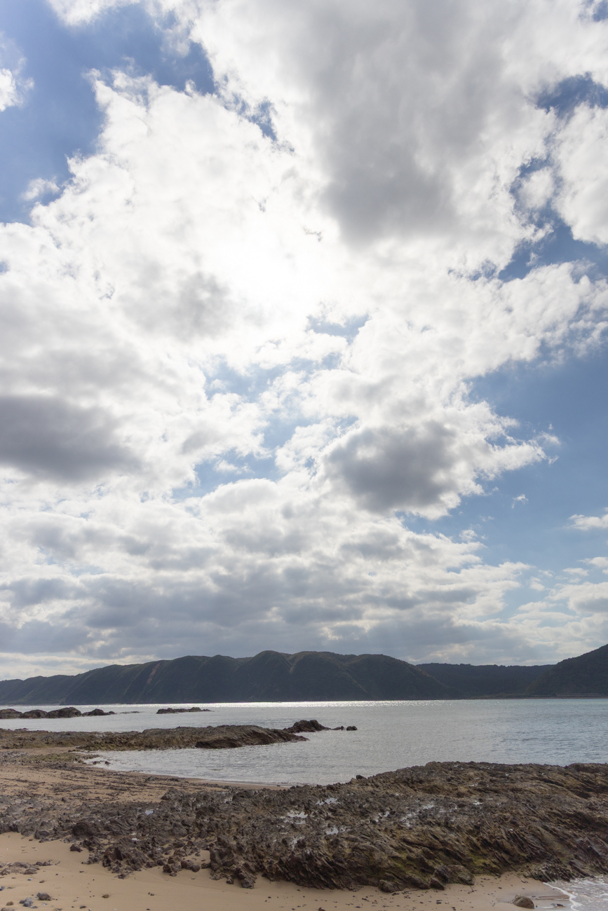 近所の東村ふれあいヒルギ公園