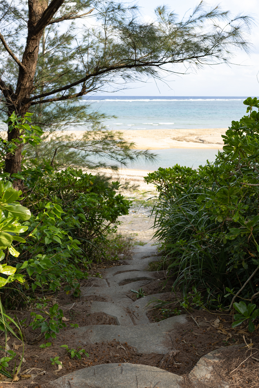 緑に包まれた小径の先に広がる海