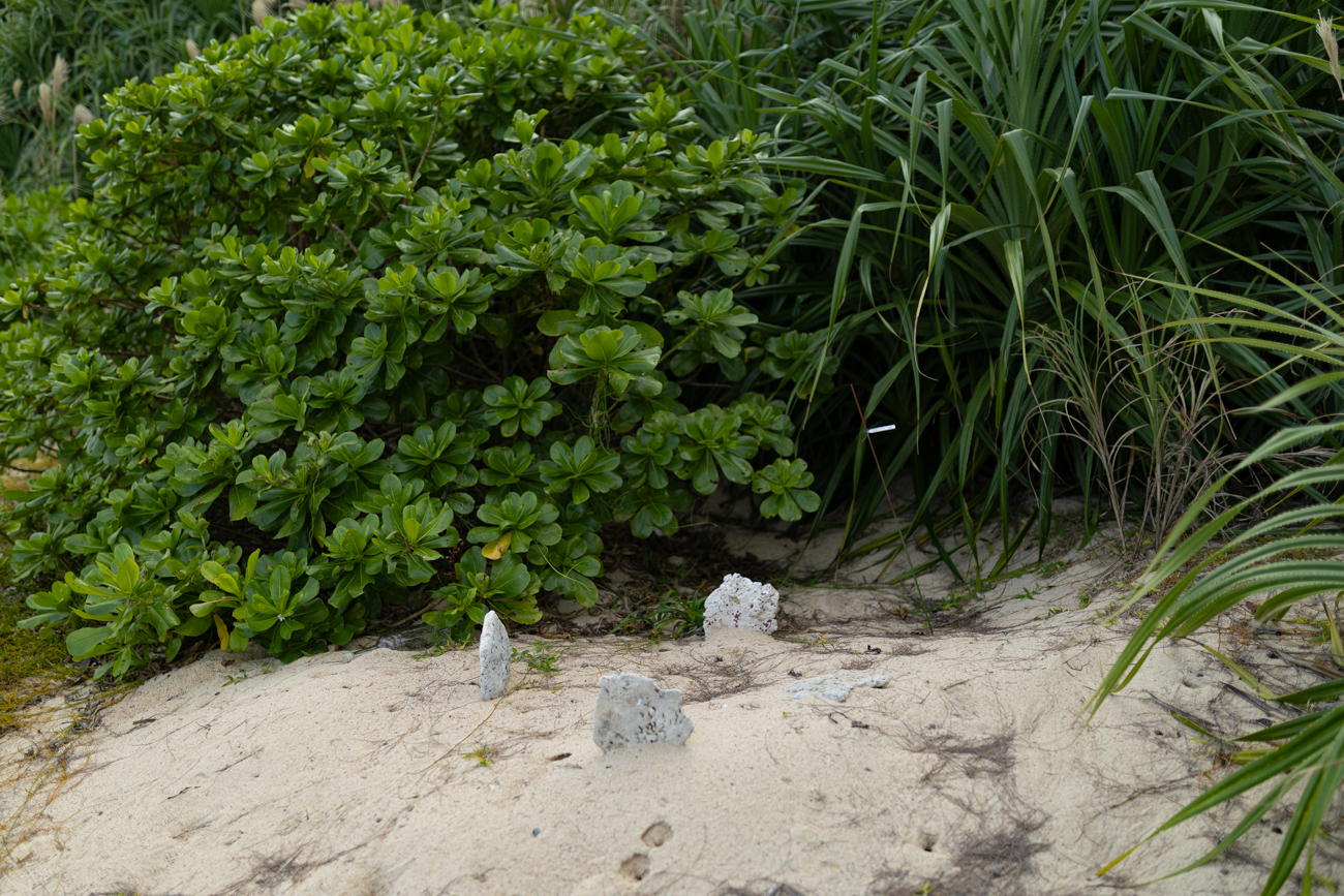 楚洲のロングビーチと青い海